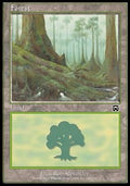 Forest (V.2) - Mercadian Masques (Land) [MMQ-348]