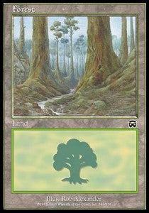 Forest (V.3) - Mercadian Masques (Land) [MMQ-349]