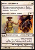 Bushi Tenderfoot