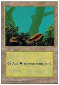 Forest (V.2)