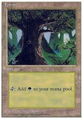 Forest (V.3)