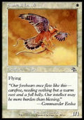 Suntail Hawk - Judgment (Common) [JUD-28]