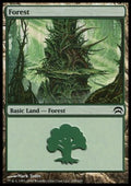 Forest (V.5)