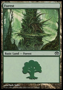 Forest (V.5)