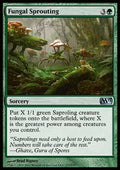 Fungal Sprouting
