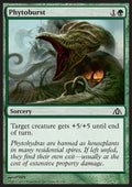 Phytoburst - Dragon's Maze (Common) [DGM-46]