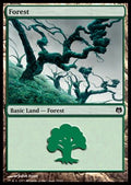 Forest (V.1)