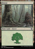 Forest (V.6)