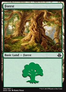 Forest (V.3)