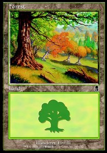 Forest (V.3)
