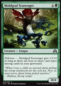 Moldgraf Scavenger