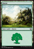 Forest (V.2)