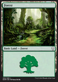 Forest (V.1)