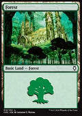 Forest (V.7)