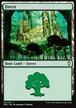 Forest (V.7)