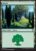Forest (V.1)