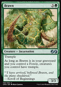 Brawn - Ultimate Masters (Uncommon) [UMA-160]