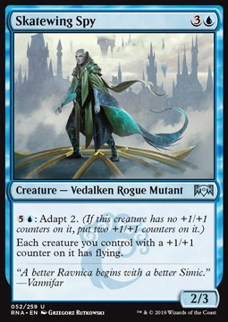 Skatewing Spy