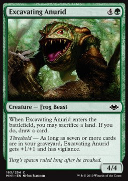 Excavating Anurid - Modern Horizons (Common) [MH1-163]