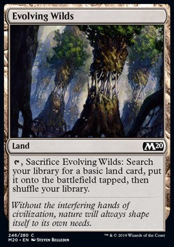 Evolving Wilds - Core 2020 (Common) [M20-246]