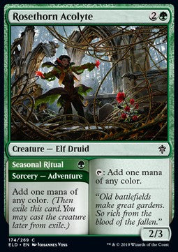 Rosethorn Acolyte // Seasonal Ritual - Throne of Eldraine (Common) [ELD-174]