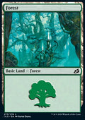 Forest (V.2)