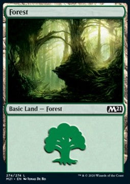 Forest (V.3)