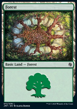 Forest (V.3)