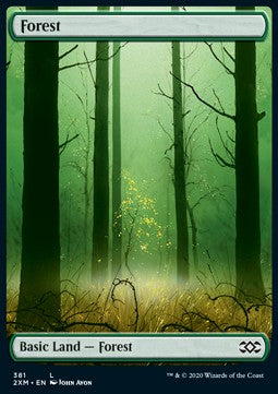 Forest (V.1)