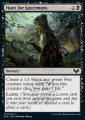 Hunt for Specimens - Strixhaven: School of Mages (Common) [STX-73]