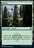 Forest (V.4)