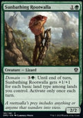 Sunbathing Rootwalla