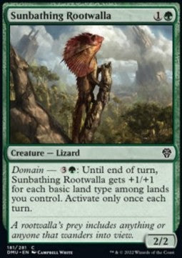 Sunbathing Rootwalla