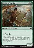 Druid of the Cowl - Magic: The Gathering Foundations: Beginner Box (Common) [BFDN-554]