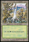 Forest (V.2)