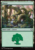 Forest (V.1) - Lorwyn Eclipsed (Land) [ECL-273]