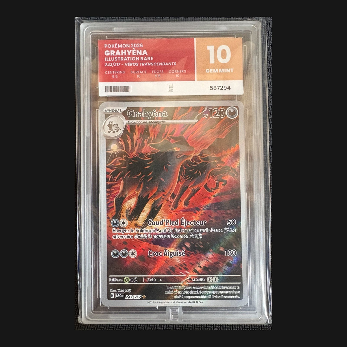 Grahyèna / Mightyena 243/217, French, Pure Grading 10 GEM MINT, certificate 587294 — actual graded card