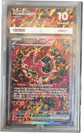 [PG10] Oricorio ex — MEP 024 — Black Star Promo — FR — photo réelle, contour du boîtier détouré, fond transparent.