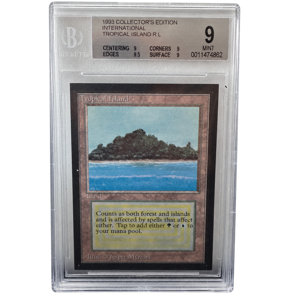 Tropical Island BGS 9 — photo détourée, bord supérieur du slab reconstitué